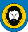 100px-POL_Brzozów_COA.svg