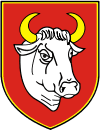 100px-POL_Człuchów_COA.svg (1)