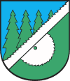 100px-POL_Hajnówka_COA.svg