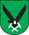 100px-POL_Jastrzębie-Zdrój_COA.svg