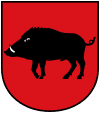 100px-POL_Łęczna_COA.svg