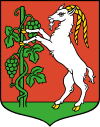 100px-POL_Lublin_COA_1.svg