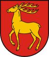 100px-POL_Parczew_COA.svg