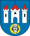 100px-POL_Radziejów_COA.svg