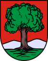 100px-POL_Wałbrzych_COA.svg