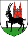 POL_Wieruszów_COA.svg