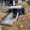 Ziemianka Prostokątna